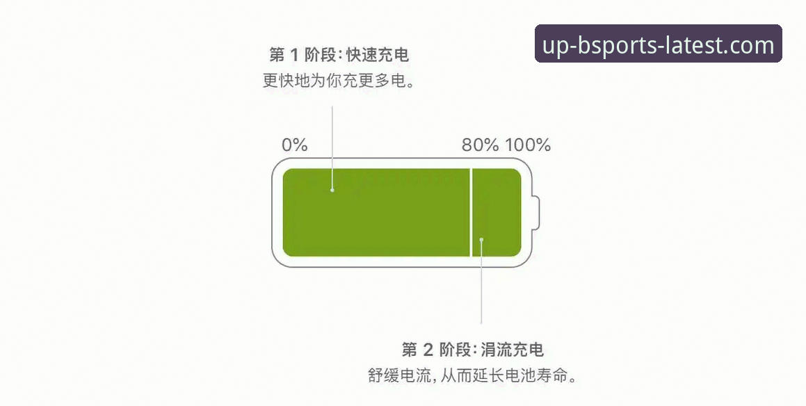B体育iOS版功能深度评测：从界面到投注的全方位解析